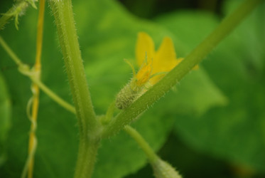 Similar image 21448358