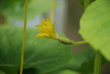 Similar image 21448359