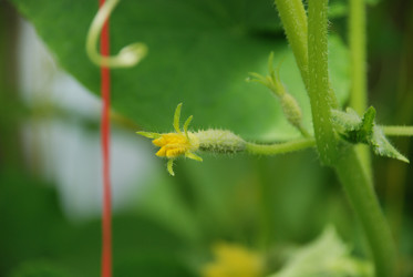 Similar image 21448360