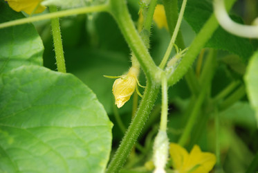 Similar image 21448361