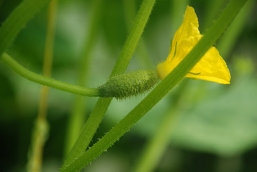 Similar image 21448362