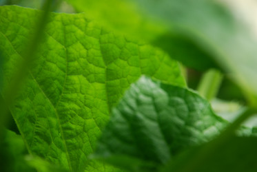 Similar image 21448363