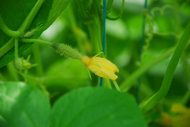 Similar image 21448364