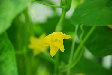 Similar image 21448365