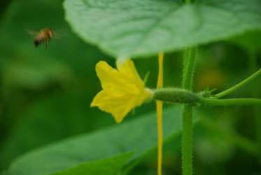 Similar image 21448366