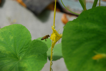 Similar image 21448367