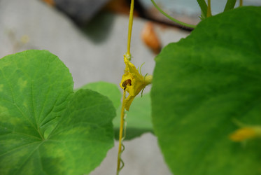 Similar image 21448368