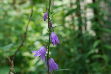 Similar image 21448369