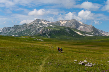 Similar image 21439809