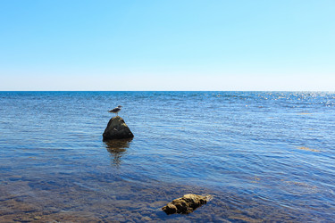 Similar image 21439812