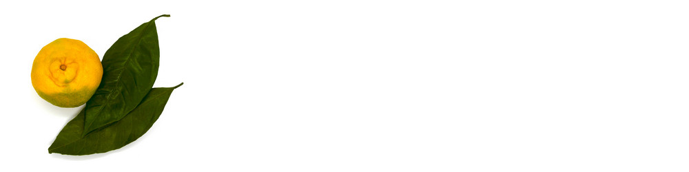 Similar image 21436294