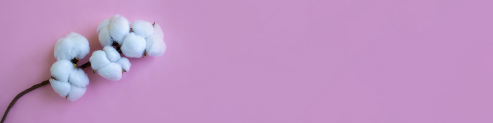 Similar image 21436297