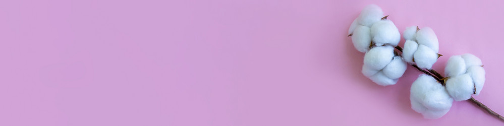 Similar image 21436301