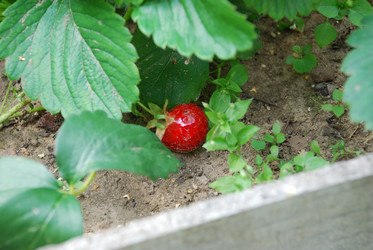 Similar image 21448370