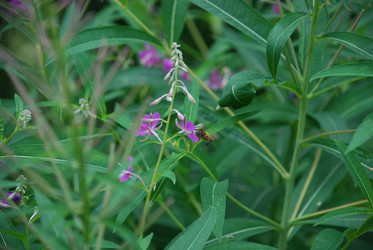 Similar image 21448371