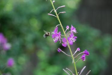 Similar image 21448372