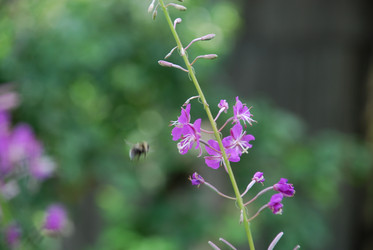 Similar image 21448373