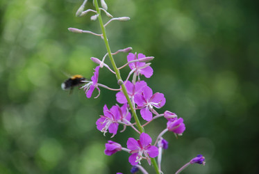 Similar image 21448374