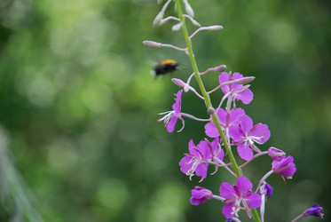 Similar image 21448375