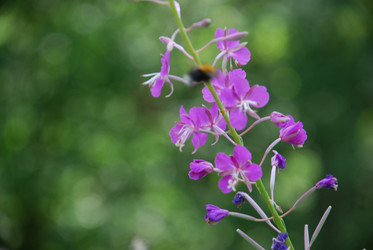 Similar image 21448466