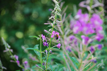 Similar image 21448467