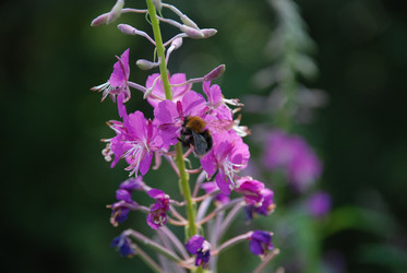 Similar image 21448468