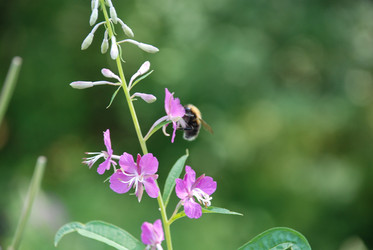 Similar image 21448469