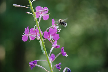 Similar image 21448470