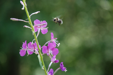 Similar image 21448471