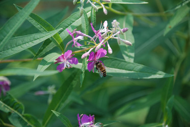 Similar image 21448472