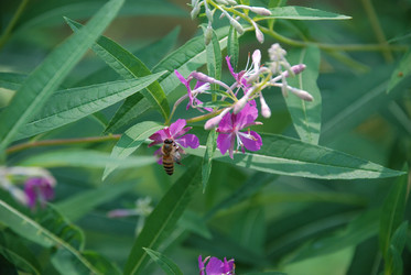 Similar image 21448473