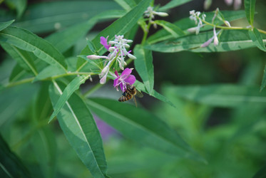 Similar image 21448376