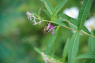 Similar image 21448377