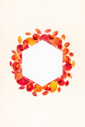 Similar image 21438363