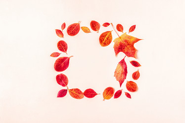 Similar image 21439051