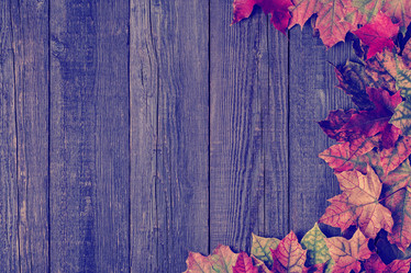 Similar image 21439057