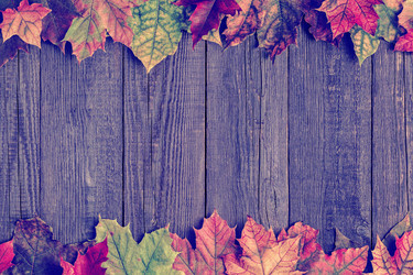 Similar image 21439061