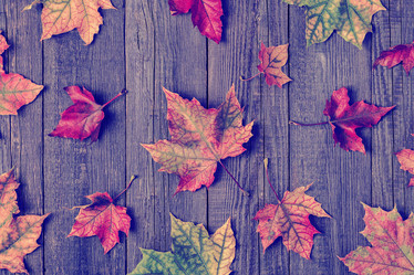 Similar image 21439063