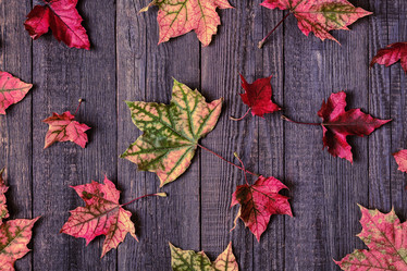 Similar image 21439065