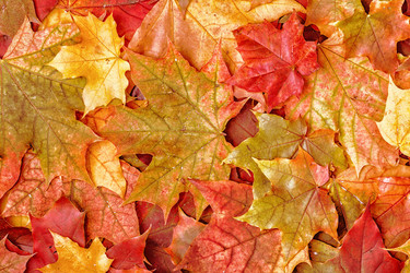 Similar image 21439071