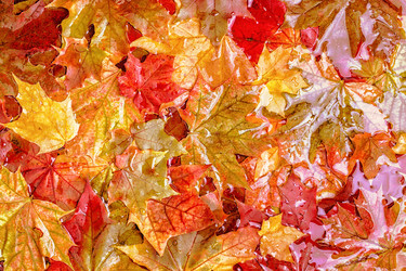 Similar image 21439075