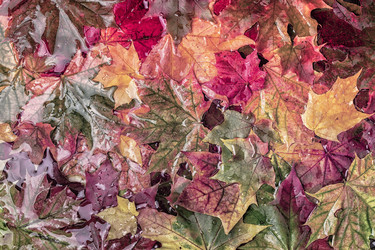 Similar image 21439081