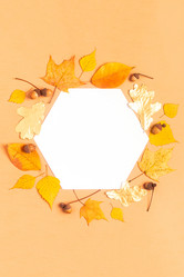 Similar image 21439449