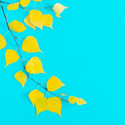 Similar image 21439543