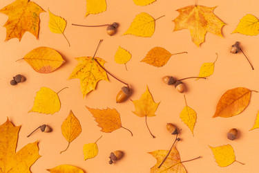 Similar image 21439824