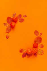 Similar image 21439826