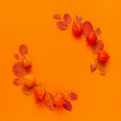 Similar image 21439828