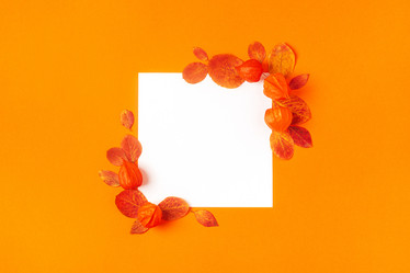 Similar image 21439830