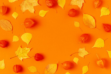 Similar image 21439836