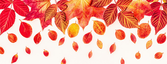 Similar image 21439844